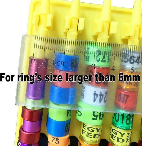 Pigeon Ring Holder - Image 7